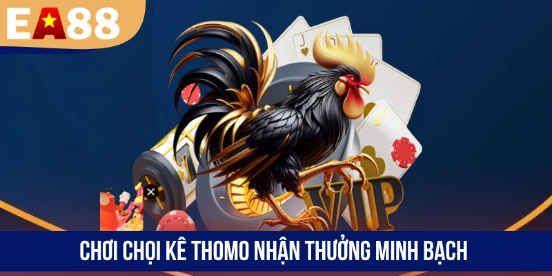 Chơi chọi kê Thomo nhận thưởng minh bạch