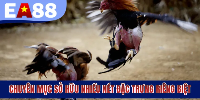 Chuyên mục sở hữu nhiều nét đặc trưng riêng biệt
