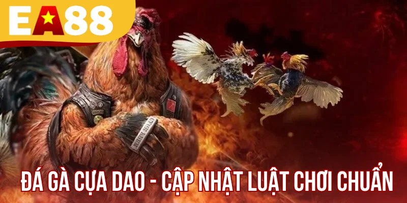 Đá Gà Cựa Dao - Cập Nhật Luật Chơi Và Mẹo Vào Kèo Chuẩn