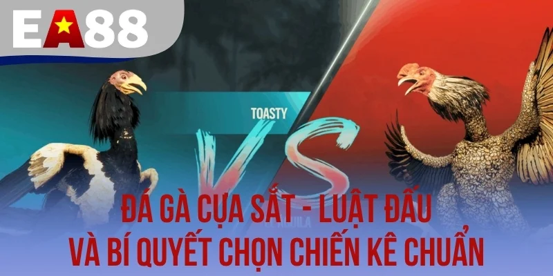 Đá gà cựa sắt tại EA88 mang lại những phút giây giải trí kịch tính cho người xem. Để tham gia bạn sẽ phải nắm rõ luật đấu cùng cách chọn lựa chiến kê dũng mãnh nhất.