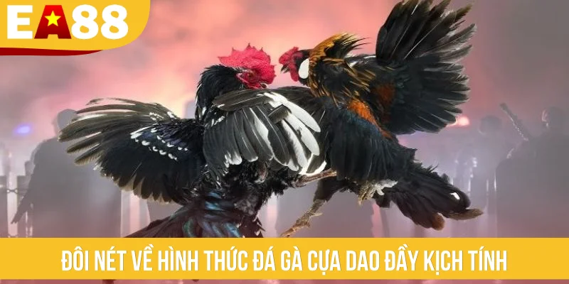 Đôi nét về hình thức đá gà cựa dao đầy kịch tính