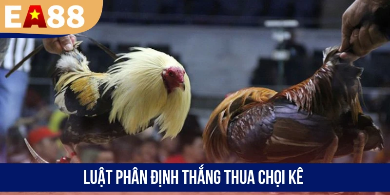 Luật phân định thắng thua chọi kê