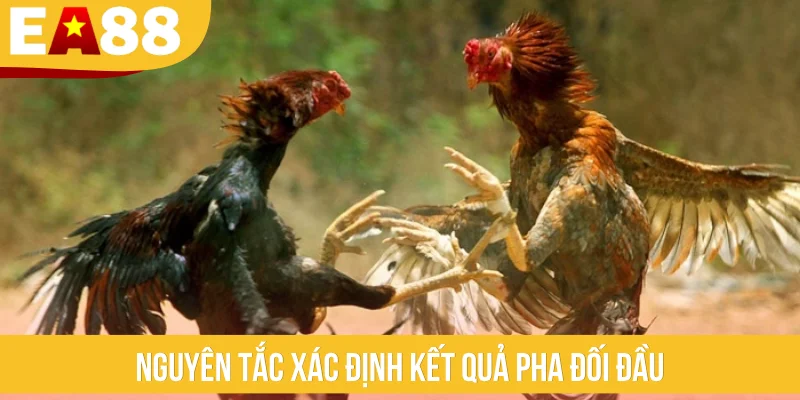 Nguyên tắc xác định kết quả pha đối đầu