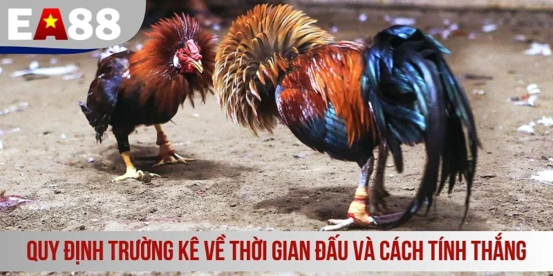 Quy định trường kê về thời gian đấu và cách tính thắng